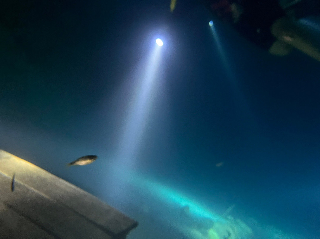 Gruta Do Mimoso-博尼图必去景点