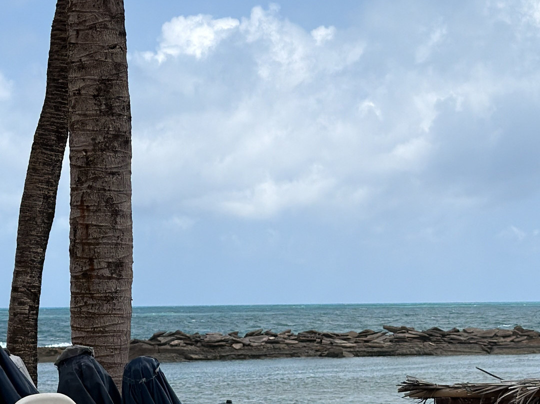 Praia Camurupim-Nisia Floresta必去景点