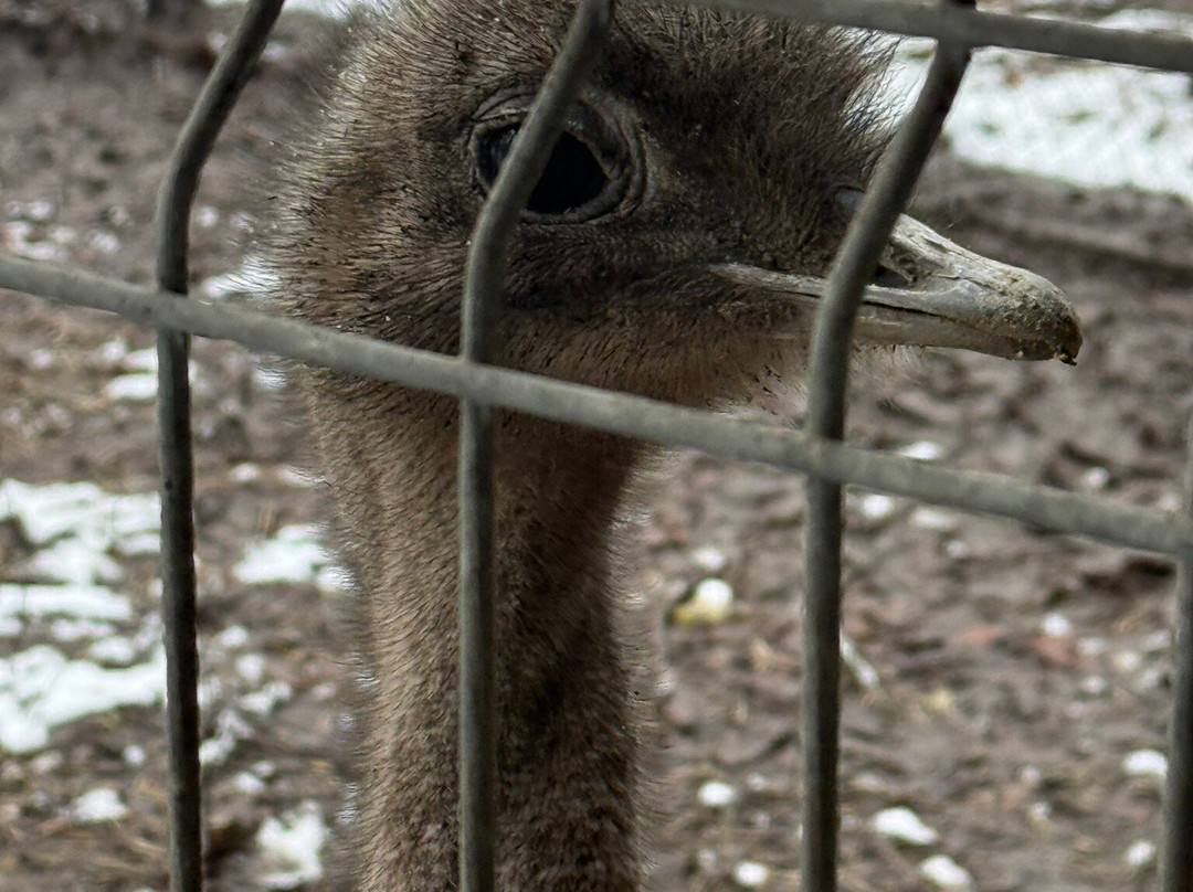 Szeged Zoo-塞格德必去景点