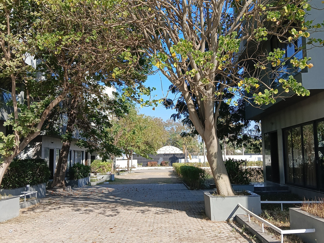 The Emerald Club主图