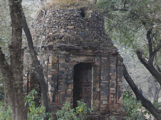 Ranthambore National Park-Ranthambore National Park必去景点