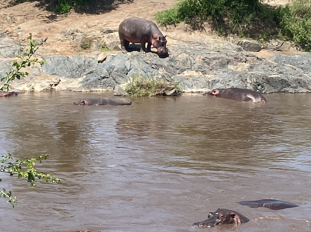 Meerkat Expedition-阿鲁沙必去景点