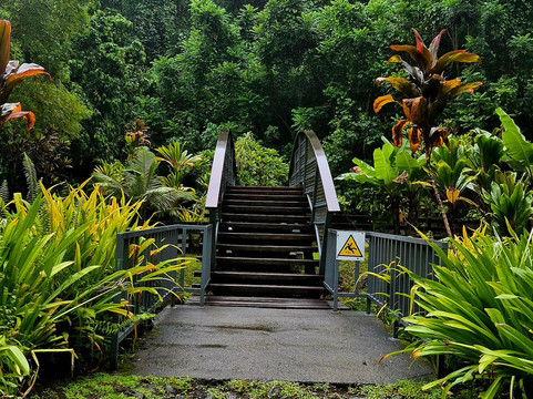 Faarumai Waterfalls-阿鲁埃必去景点