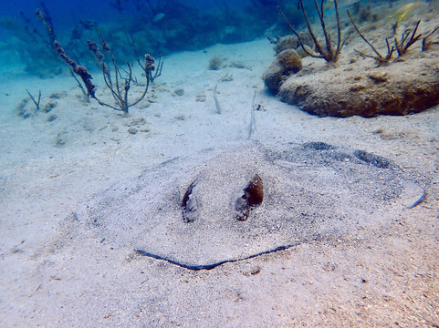 Crystal Clear-维切克岛必去景点