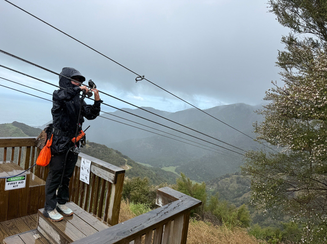 Eco Zip Line Kaikoura N.z.