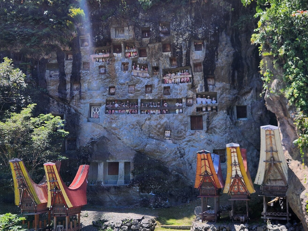 Toraja local guide-Tana Toraja必去景点