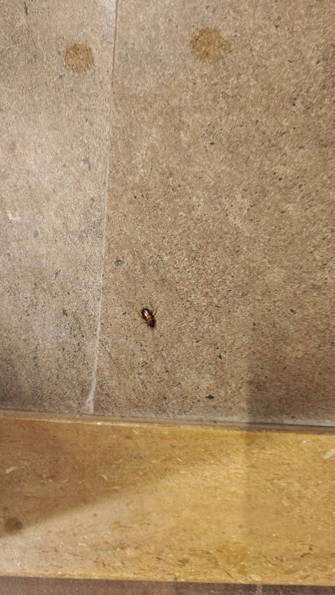 Pinewood Resort, Karjat-官方