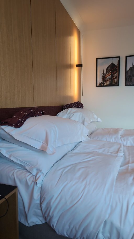 布鲁塞尔索菲特路易斯酒店-官方