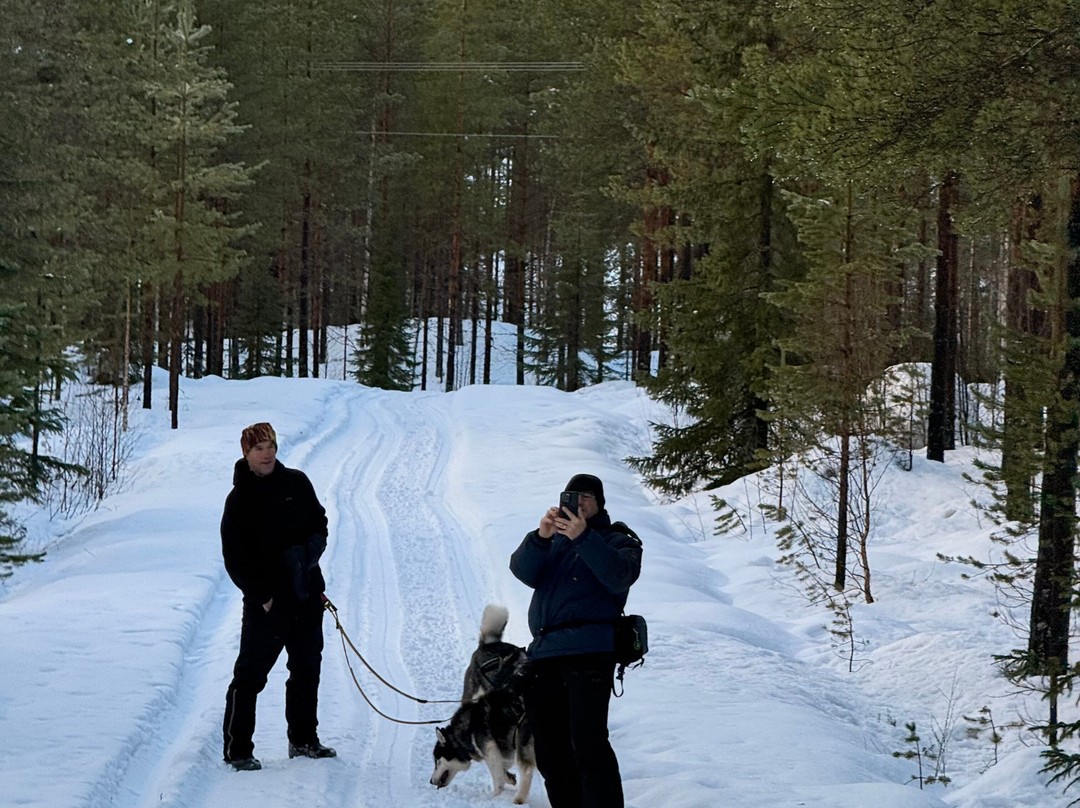 Openlappland-Amsele必去景点