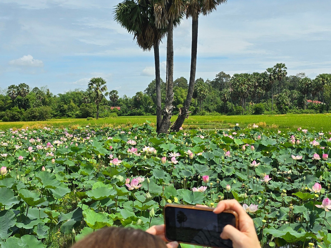 Cambodia Private Taxi-金边必去景点