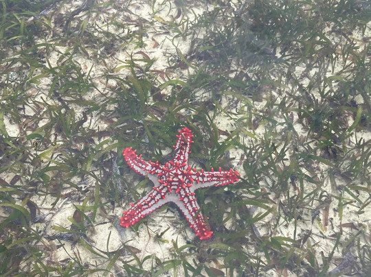 JamboJambo Safaris(Amedeo)-瓦塔木必去景点