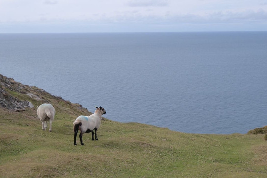 Mynydd Mawr-Aberdaron必去景点