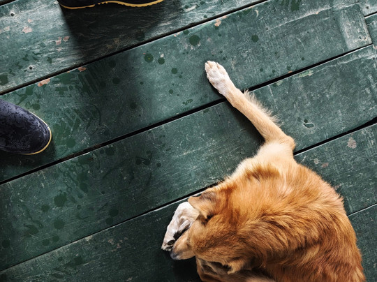 Amazon Tour-莱蒂西亚必去景点