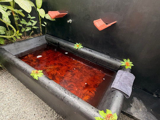 Tonic Spa Hiriketiya-迪克韦勒必去景点