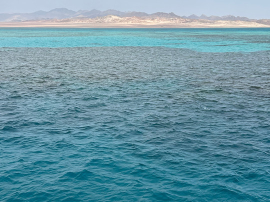 Cinderella Eldawley - Diving Center-沙姆沙伊赫必去景点