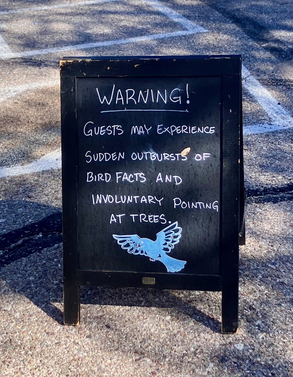 Santa Rita Lodge-浴室