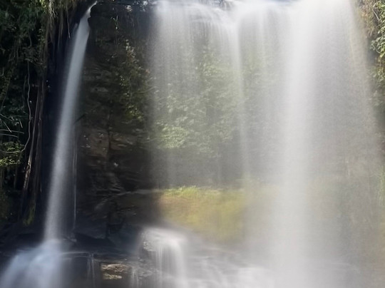 Elephant Sanctuary Care Park-清迈必去景点