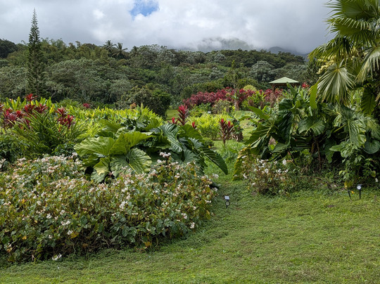 Le Jardin de la Rencontre-Capesterre-Belle-Eau必去景点