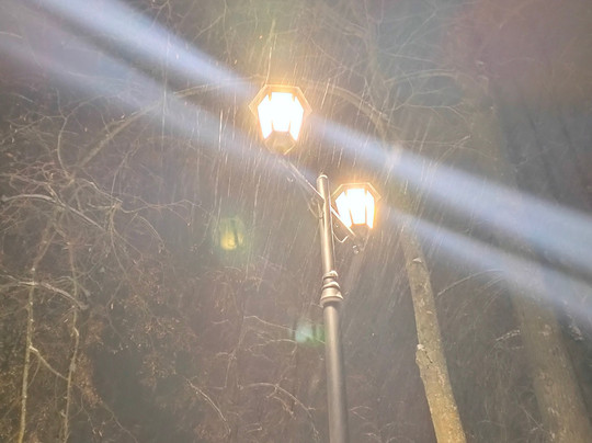 Aleksandrovskiy Park of Culture and Recreation-Aleksandrov必去景点