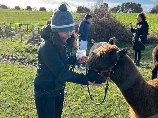 Charnwood Forest Alpacas-Boundary必去景点