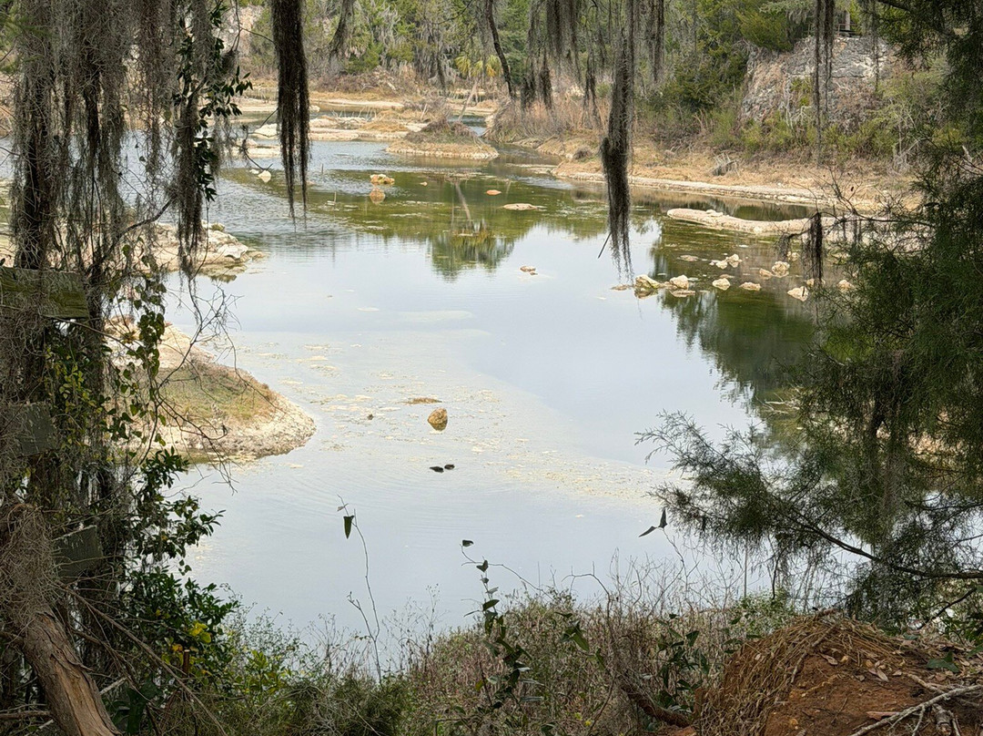 Cedar Lakes Woods & Gardens-Williston必去景点