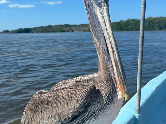 Parque Natural Ria Lagartos-里奥拉加托斯必去景点
