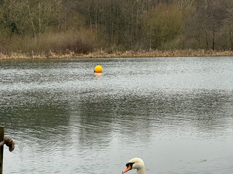 Whitmore Lakes-Whitmore必去景点