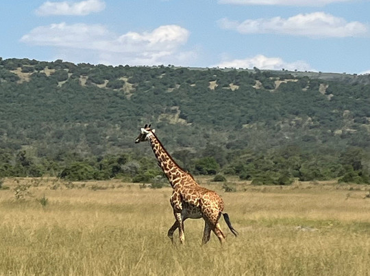 Mist Rwanda Safaris-Ruhengeri必去景点