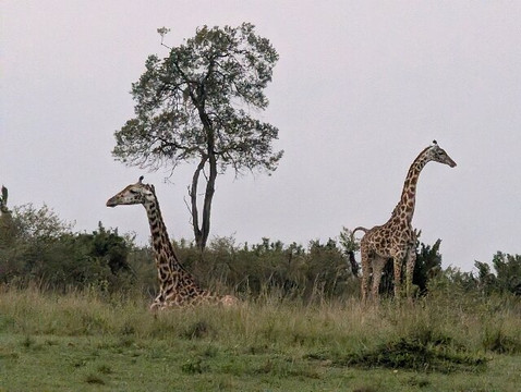 Wild Plus Escapades-马林地必去景点