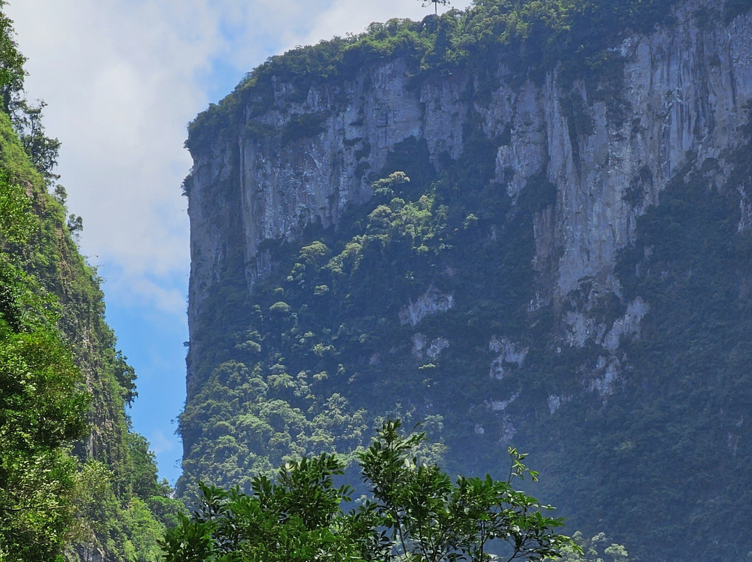 Trilha Do Rio Do Boi-Praia Grande必去景点