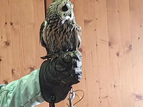 Zoo Del Pirineu-Oden必去景点