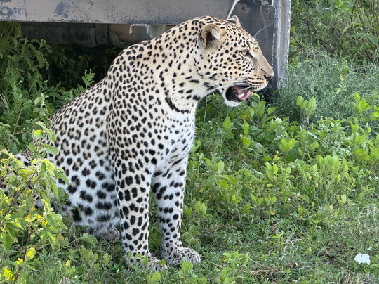 Takims Holidays-阿鲁沙必去景点