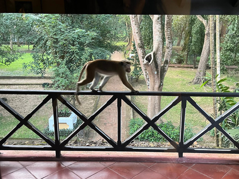 Didu Lanka Travels-科伦坡必去景点