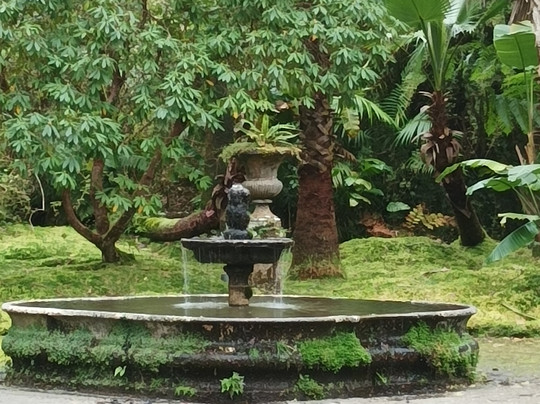 Parque Terra Nostra-富尔纳斯必去景点