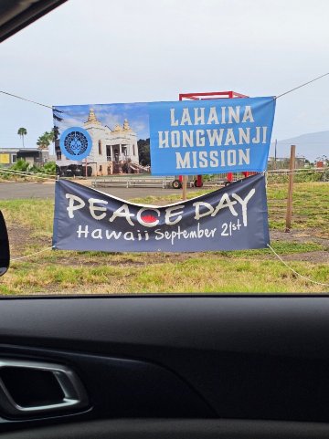 Napili Point Resort-官方