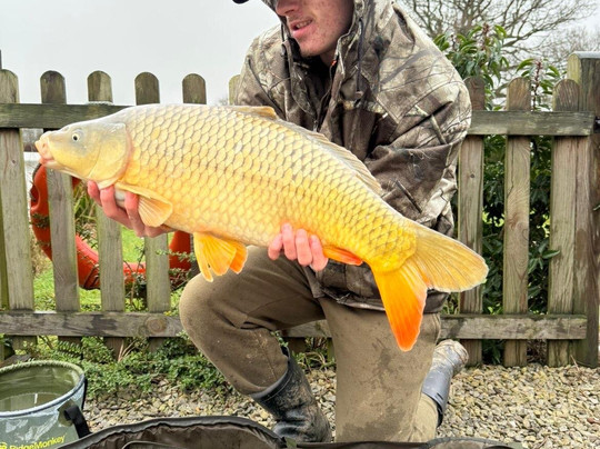 Shirkoak Farm Fishery and Bed & Breakfast-Woodchurch必去景点