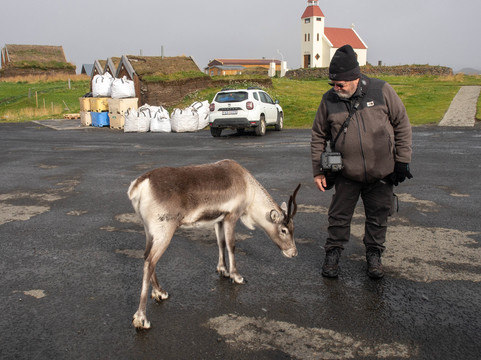 Arctic Exposure-科帕伏古必去景点