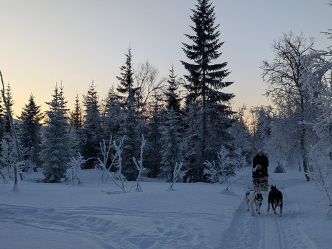 Happy Tails Husky Tours-特罗姆瑟必去景点