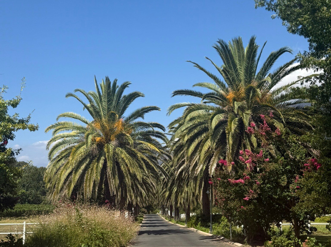 Zorgvliet Wine Estate-斯泰伦博斯必去景点