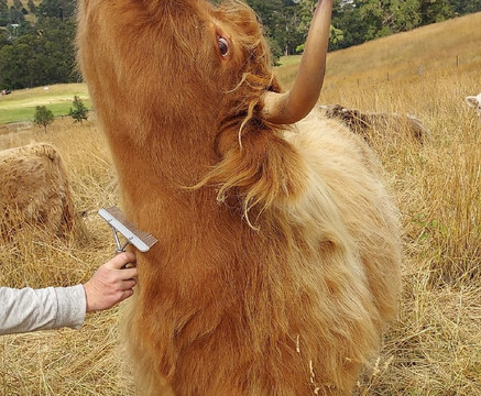 Highland Getaway-Ranelagh必去景点