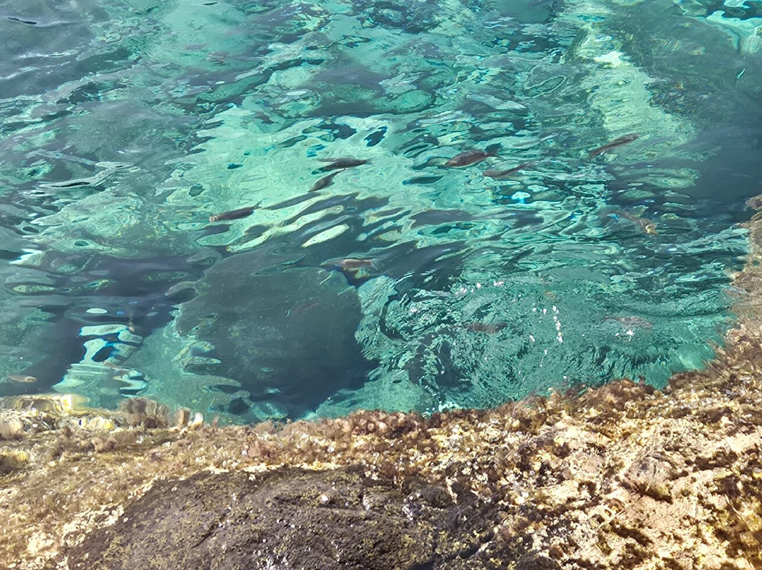 Los Charcones-布兰卡滩必去景点