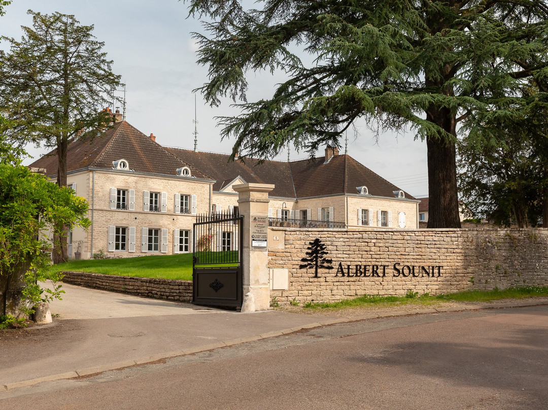 Albert Sounit