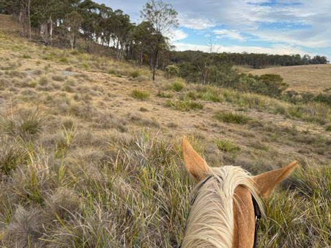 Burnelee Excursions on Horseback-穆任百特曼必去景点