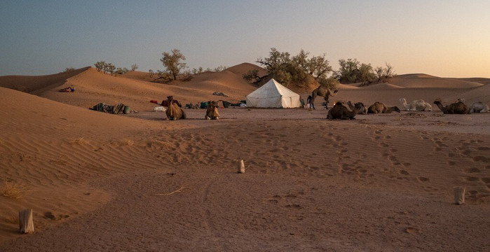 nomadic life-迈哈米德必去景点