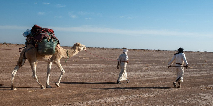nomadic life-迈哈米德必去景点