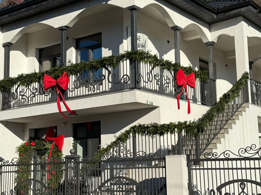 ONEderful restaurant Piatra Neamt主图