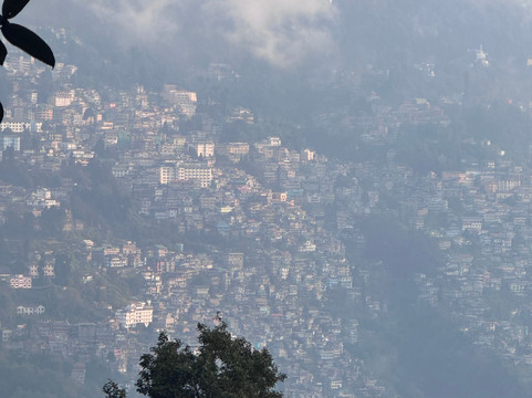 Padmaja Naidu Himalayan Zoological Park-大吉岭必去景点