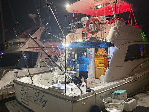 Blue Sky Cabo Fishing and Tours-卡波圣卢卡斯必去景点