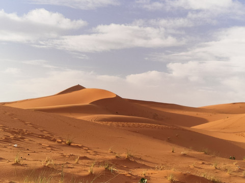 Tour Marocco-马拉喀什必去景点