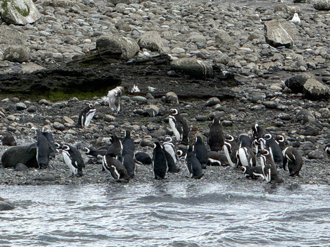Quilun Ecoturismo Marino-Queilen必去景点